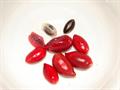 MIRACLE FRUIT